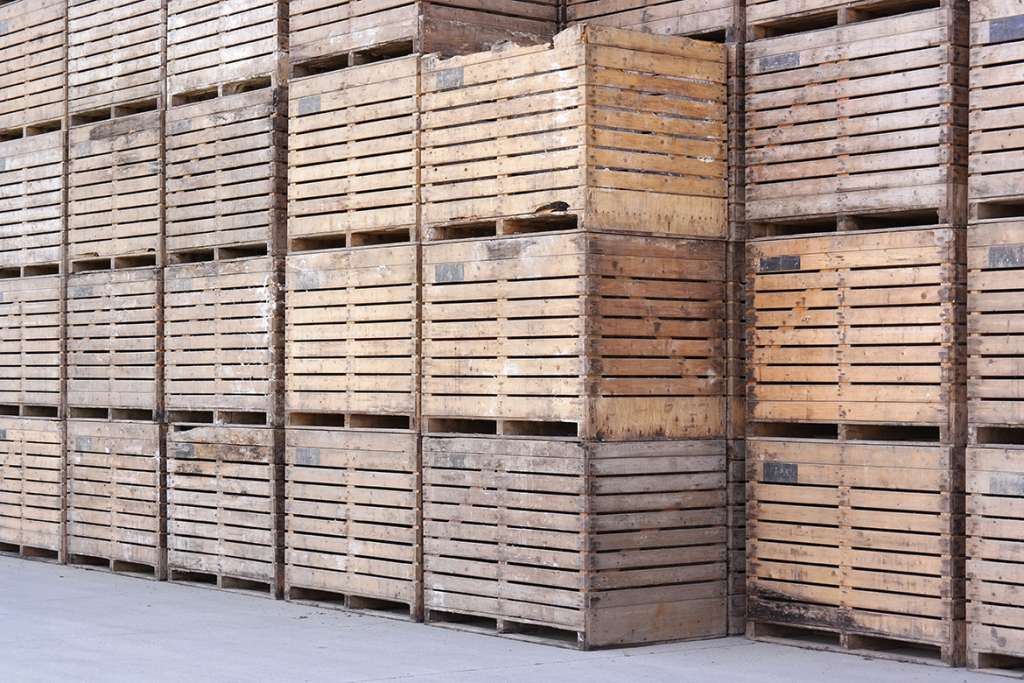 Las tasas de control fitosanitario de embalajes de madera aplicables hoy en día y cómo calcularlas